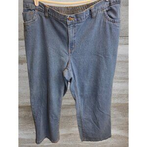 BUNDLE ONLY Woman Within Jeans Plus Size 20W 20 W P Petite‎ Denim Elastic Waist